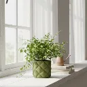 inflated round MES2.webp