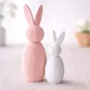 Lapin minimaliste (Petit)