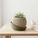 Echo Pot